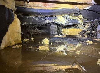 Messy Crawl Space in Mandeville, LA