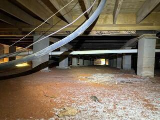 Crawlspace Transformation in Independence, LA
