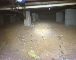 Moisture Under Mendenhall Home