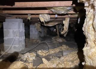 Proactive Moisture-Proofing in Terry, MS