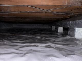 Humid Crawlspace in Shreveport, LA