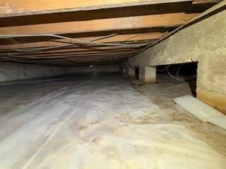 Humid Crawlspace in Shreveport, LA