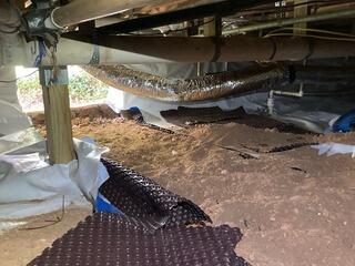 Moisture Control in Oak vale, MS