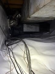Wet Crawlspace in Meridian, MS
