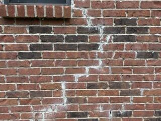 Cracks in Exterior Siding in Laurel, MS