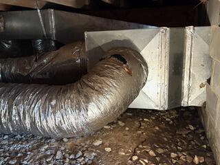 Crawlspace Moisture in Bailey, MS
