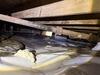 Standing Water in Crawlspace in Rayville, LA