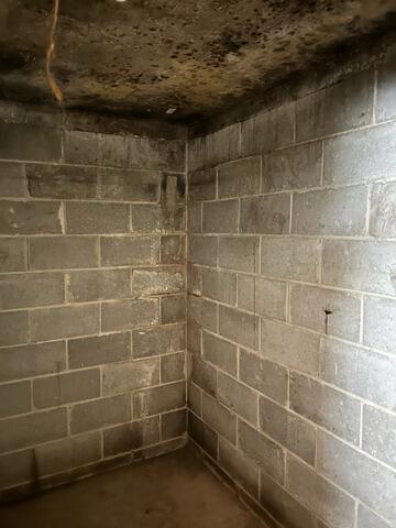 Major Transformation to Mankato, MN Basement