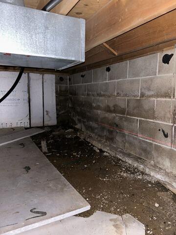 Albert Lea, MN Crawlspace Encapsulation - Before Photo