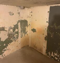 Making a Mankato, MN Basement More Usable