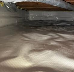 A Crawlspace Clean Up in Arden Hills, MN