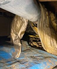 A Crawlspace Clean Up in Arden Hills, MN