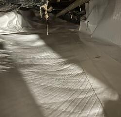 Minneapolis, MN CrawlSpace Makeover