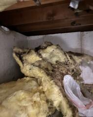 Crawlspace Upgrade in Wayzata, MN