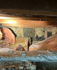 St Paul, MN Crawlspace Encapsulation