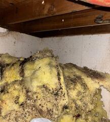 Wayzata Crawlspace Clean Up