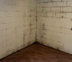 St Cloud, MN Basement Saved From Water