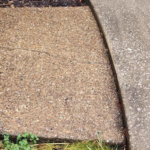 Concrete Repair in Russellville, KY - Before Photo