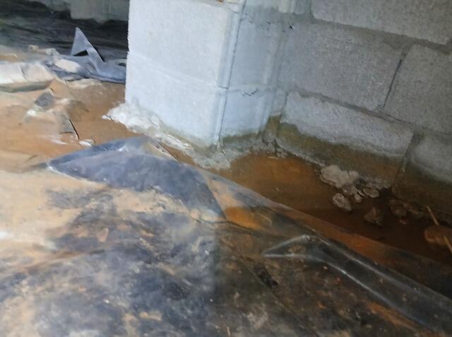 Crawl Space Encapsulation in Shelbyville, TN