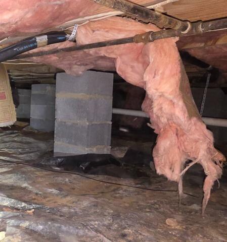 Crawl Space Encapsulation in Franklin, TN