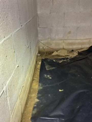 Crawl Space Repair in Gilbertsville, KY