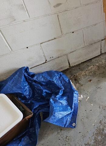 Basement Waterproofing in Collinwood, TN