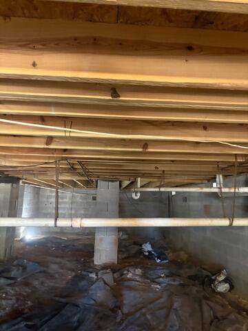 Mold Remediation in Huntsville, AL