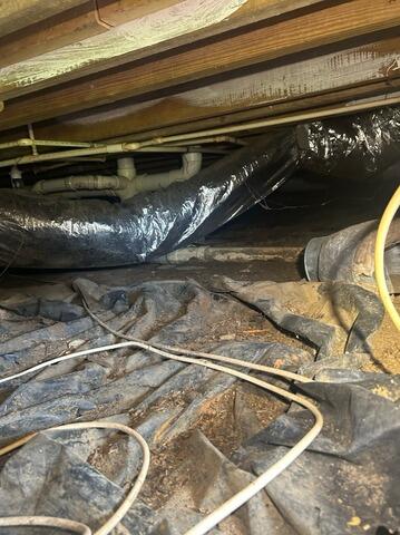 Crawl Space Encapsulation Owens Cross Roads, AL