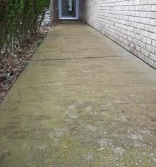 Sidewalk Lifted in Columbia, TN