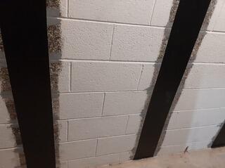 Foundation Settlement Repair in Springfield, TN