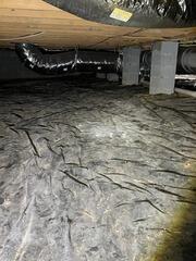 Crawl Space Encapsulation in Ardmore, TN