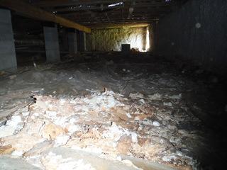 Crawl space transformation!