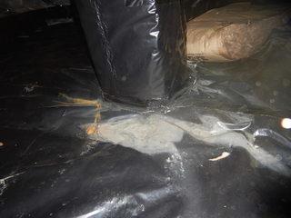 Clean Space, Silverglo & Insulation in Greenbrier, TN!