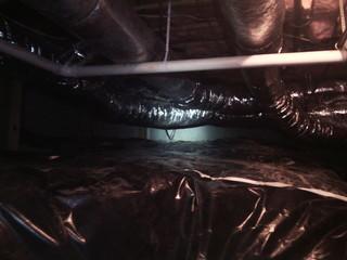 CleanSpace in Franklin, TN