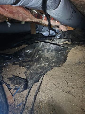 Encapsulating a Dirty Crawl Space- Eugene, OR - Before Photo