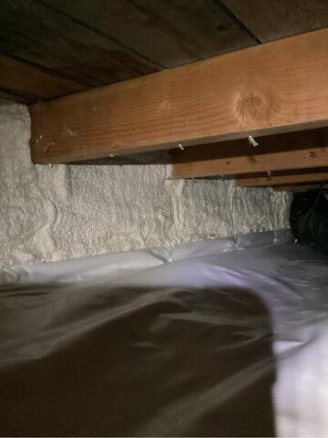 Pest Problems in Independence, OR - After Photo