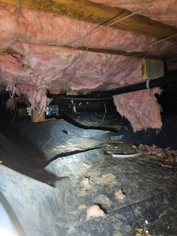Taking the Crawl Space Back from Rodents in Silverton, OR