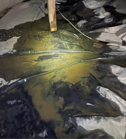 Encapsulation of Very Wet Crawl Space - Bellingham, WA - Before Photo