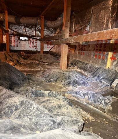 A Blanket of Crawl Space Mold - Lake Oswego, OR - Before Photo