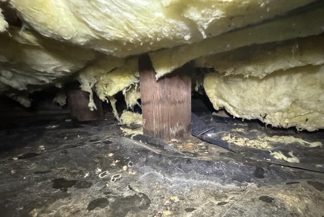 Reinforcement of Rotting Subfloor - Eugene, OR - Before Photo