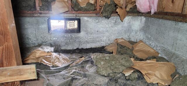 Crawl Space in Terrible Condition Causing Musty Odors in Home- Vancouver, WA - Before Photo