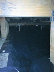 Worn out Crawlspace in Lake Oswego, OR