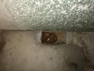 WaterGuard Service Check-Up in Portland, OR