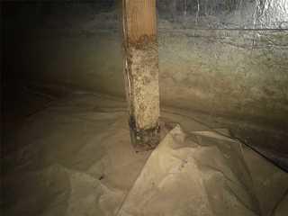 Decent Shape to Perfect; Tigard, OR