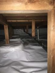 Decent Shape to Perfect; Tigard, OR