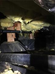 Raged Crawl Space to Clean Space; Sherwood, OR
