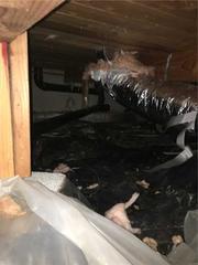 Disheveled Crawlspace; Sherwood, OR