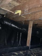 Crawl space, Sherwood, OR