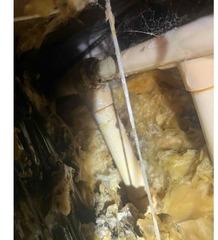Unhealthy Air and Nasty Crawlspace in Saint Helens, OR