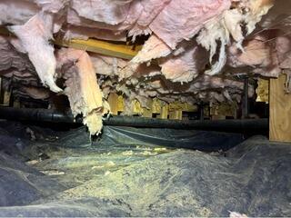 Cleaning Up the Crawl Space with TerraBlock - Salem, OR